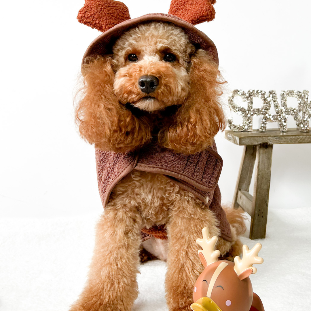Paws and Presents: The Ultimate Guide to Christmas Gifts for Your Furry Friend