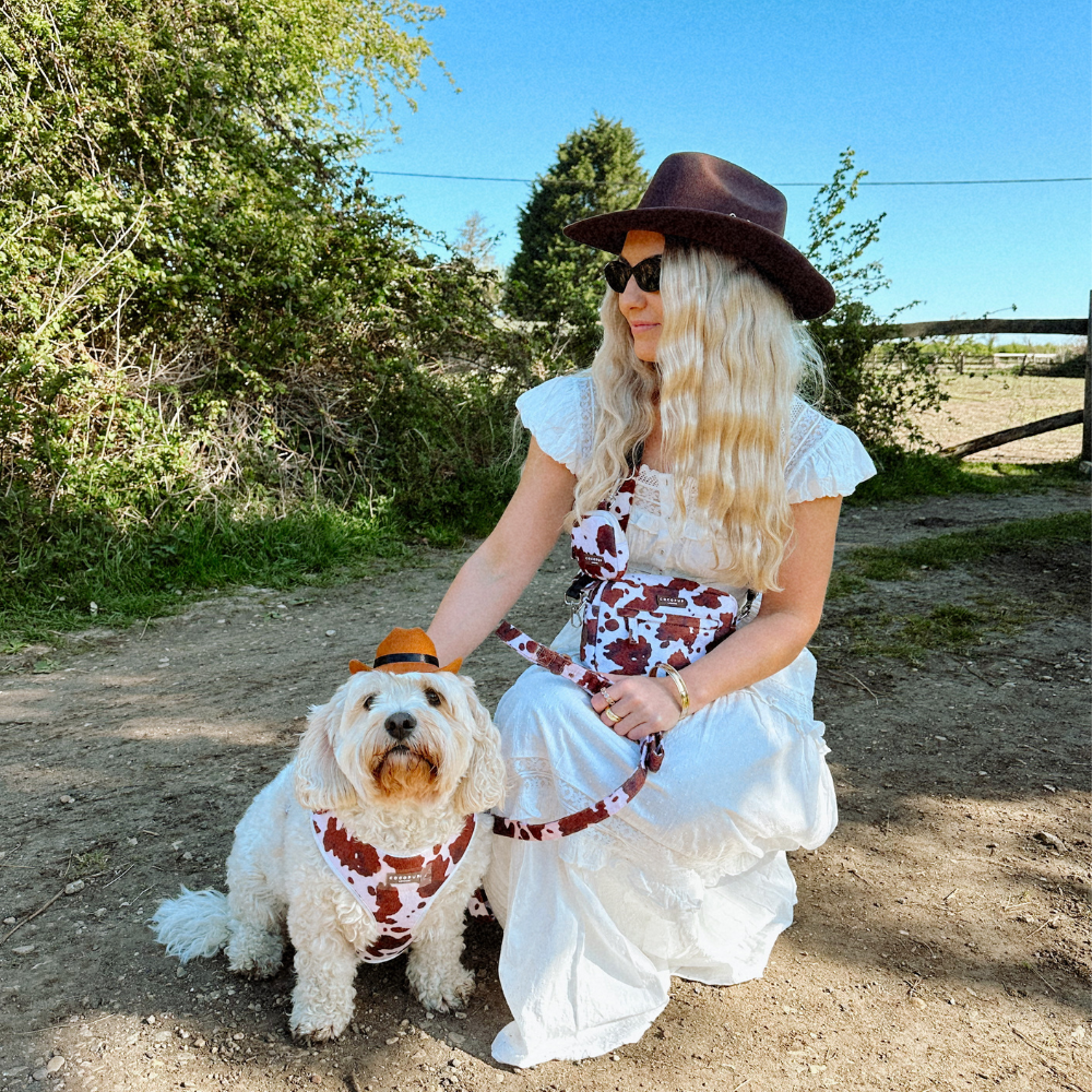 Rodeo Pup Shoot BTS