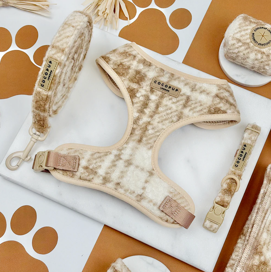 Winter Dog Accessories