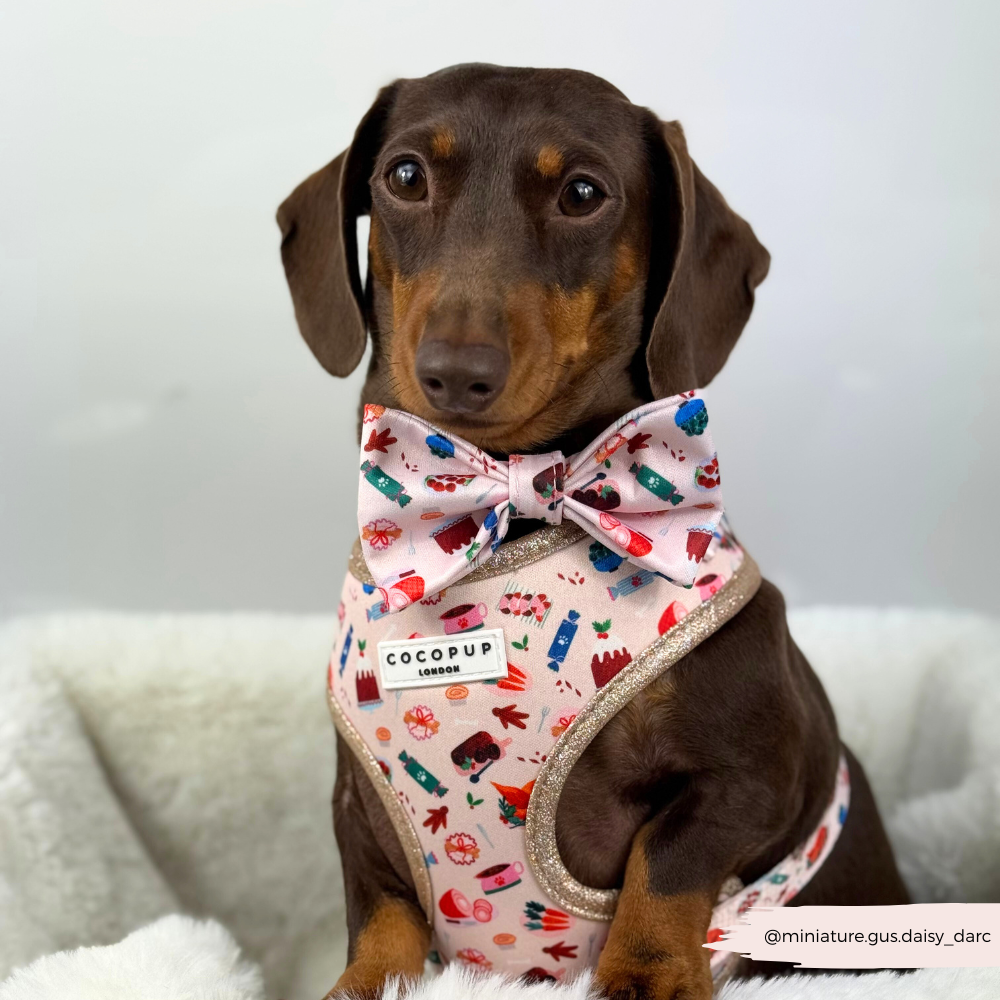 Cracking Christmas Dinner Adjustable Neck HARNESS