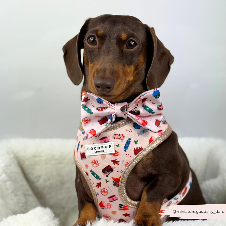 Cracking Christmas Dinner Adjustable Neck HARNESS