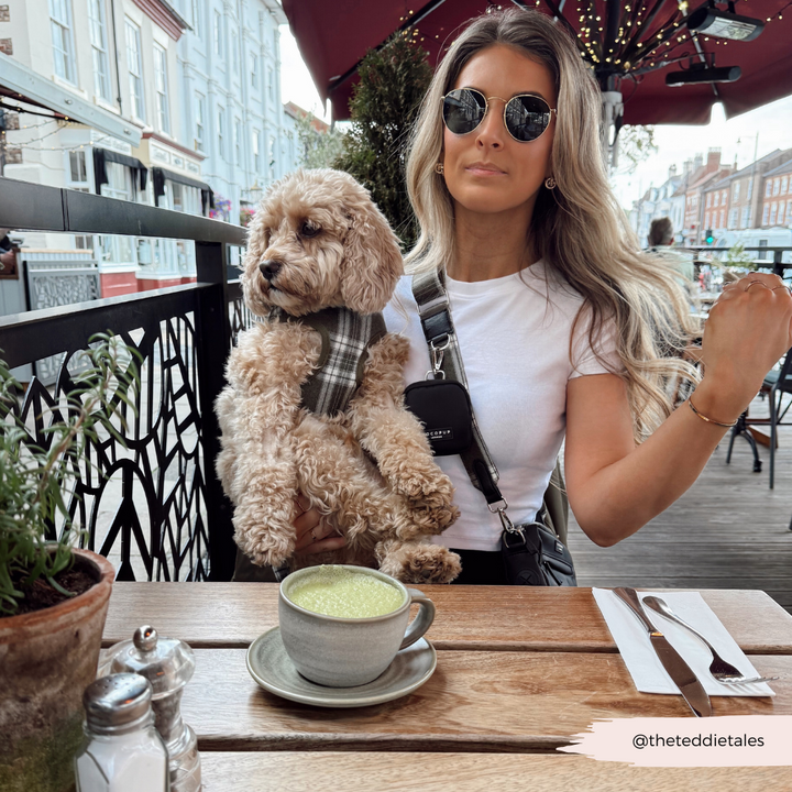 Olive Check Adjustable Neck Harness, Lead & Collar Bundle