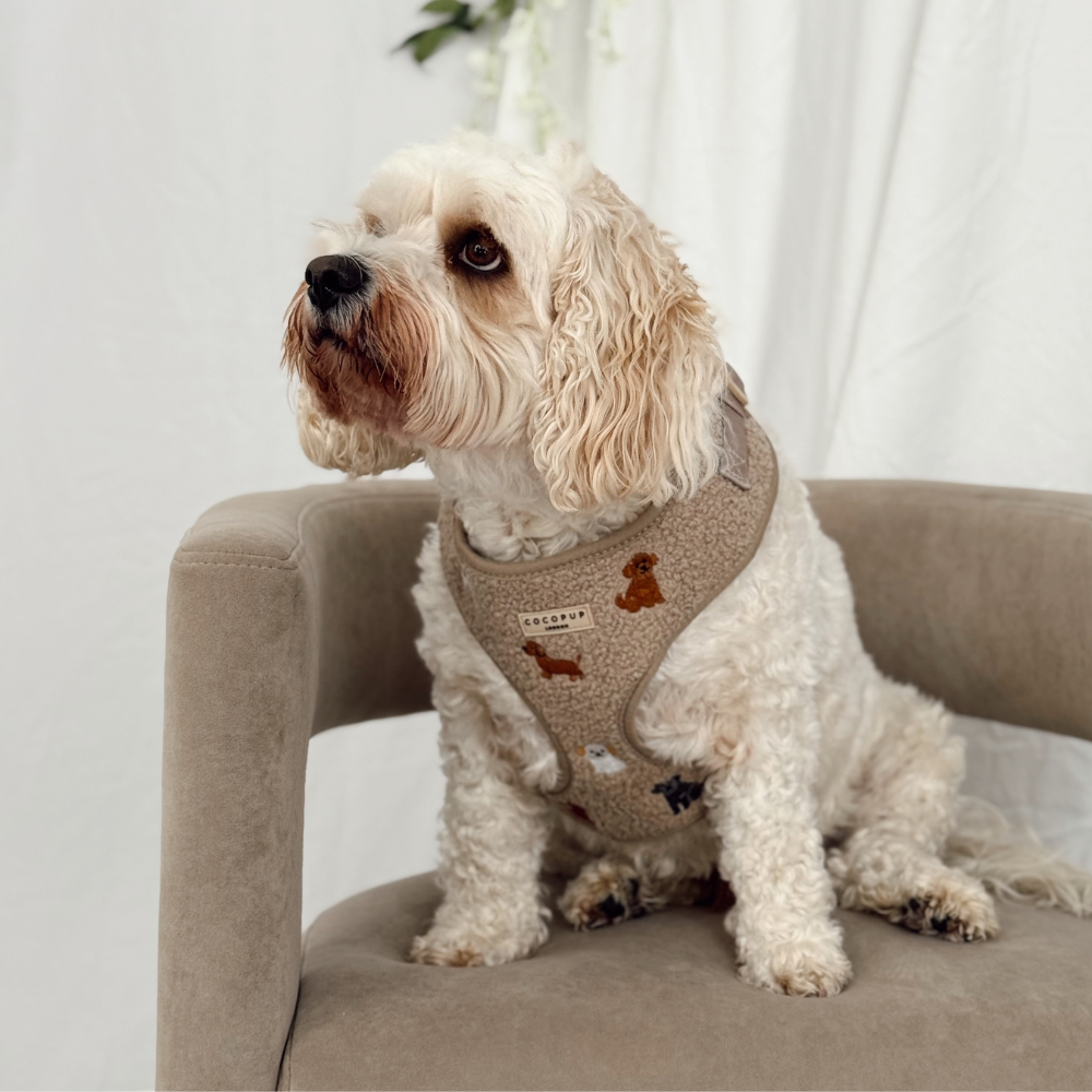 Ralph & Friends Mocha Teddy Adjustable Neck HARNESS