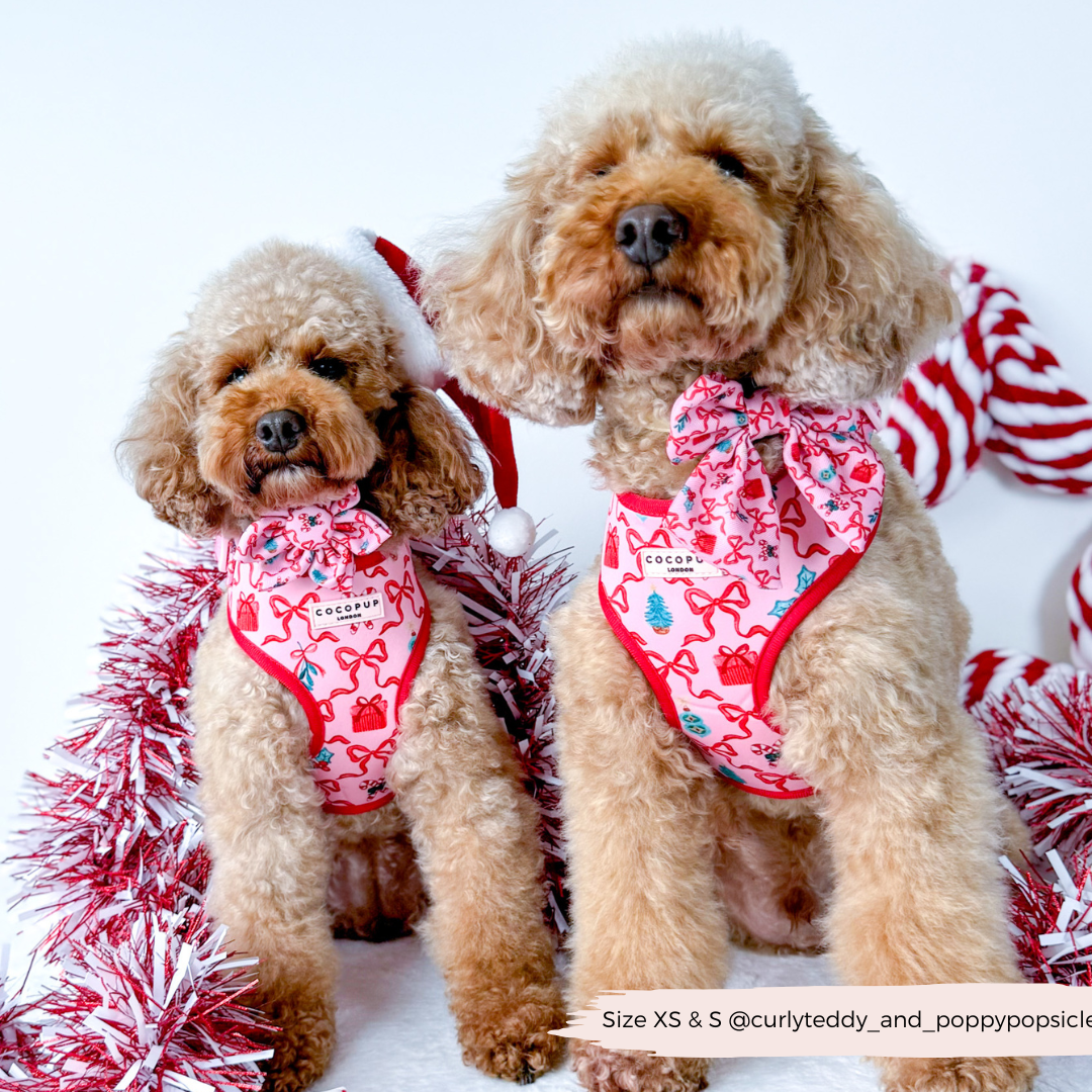 Pupmas Kisses Sailor Bow Tie