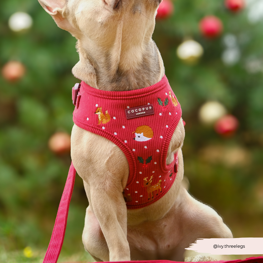 Holly Jolly Trails Adjustable Neck HARNESS