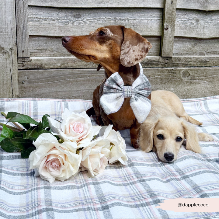 Travel Mat & Blanket Set - Oxford Plaid