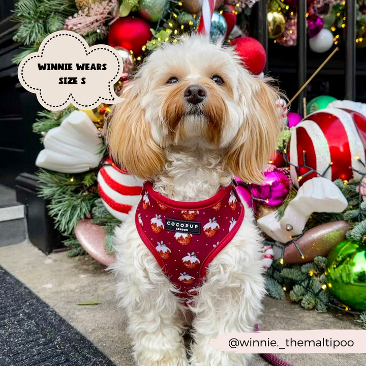 Woofmas Pudding Adjustable Neck Harness