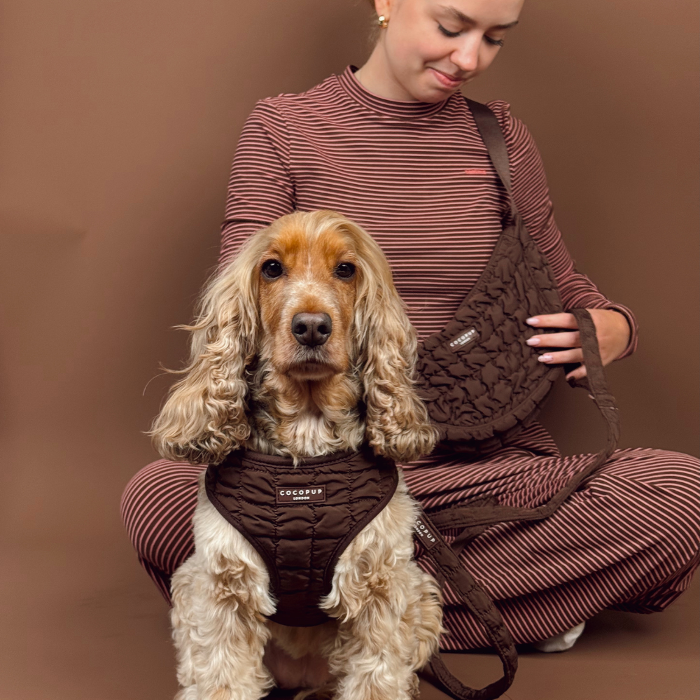 Espresso Quilted Adjustable Neck HARNESS