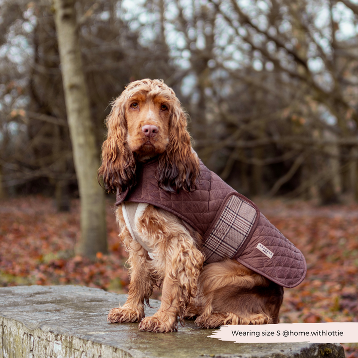 LUXE Quilted Dog Coat - Pup Plaid