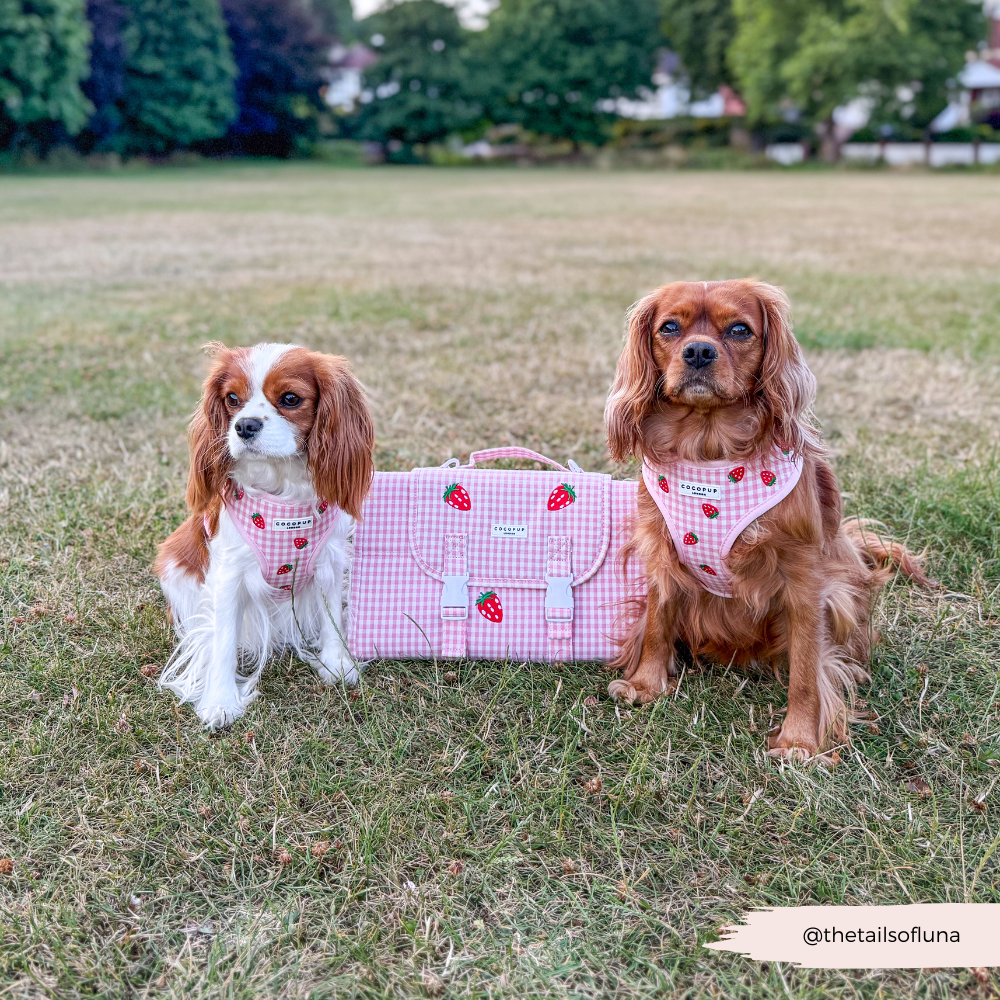 Travel Mat & Blanket Set - Strawberry Picnic Pup