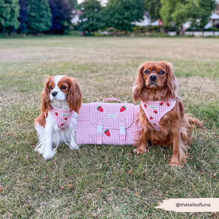 Travel Mat & Blanket Set - Strawberry Picnic Pup