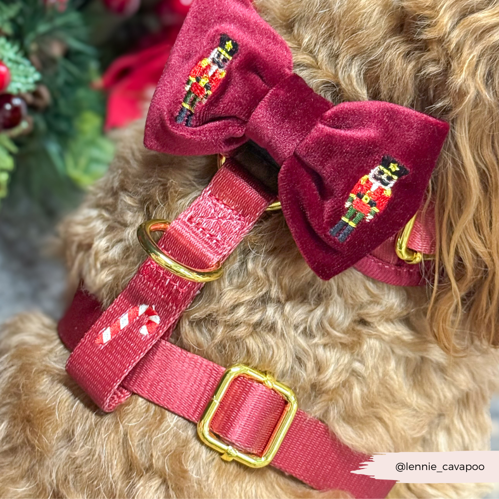 The Muttcracker Bow Tie