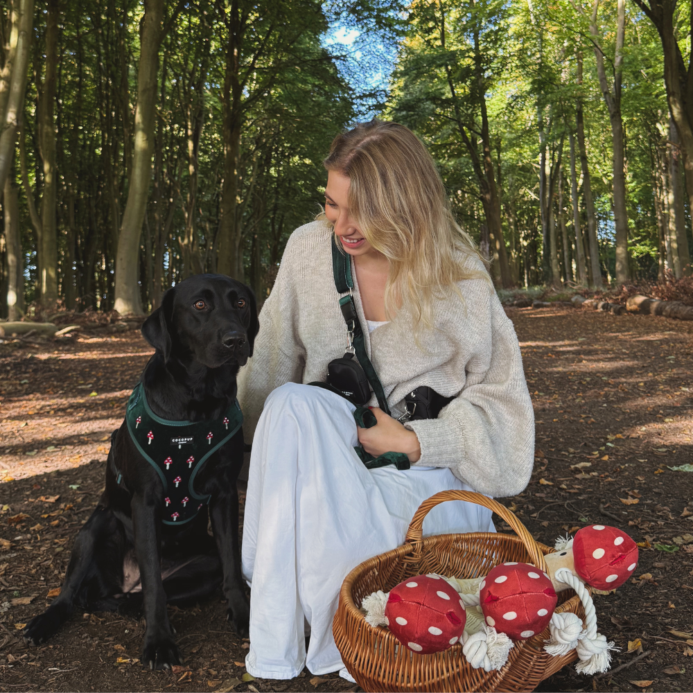 Tallulah Toadstool Dog Toy