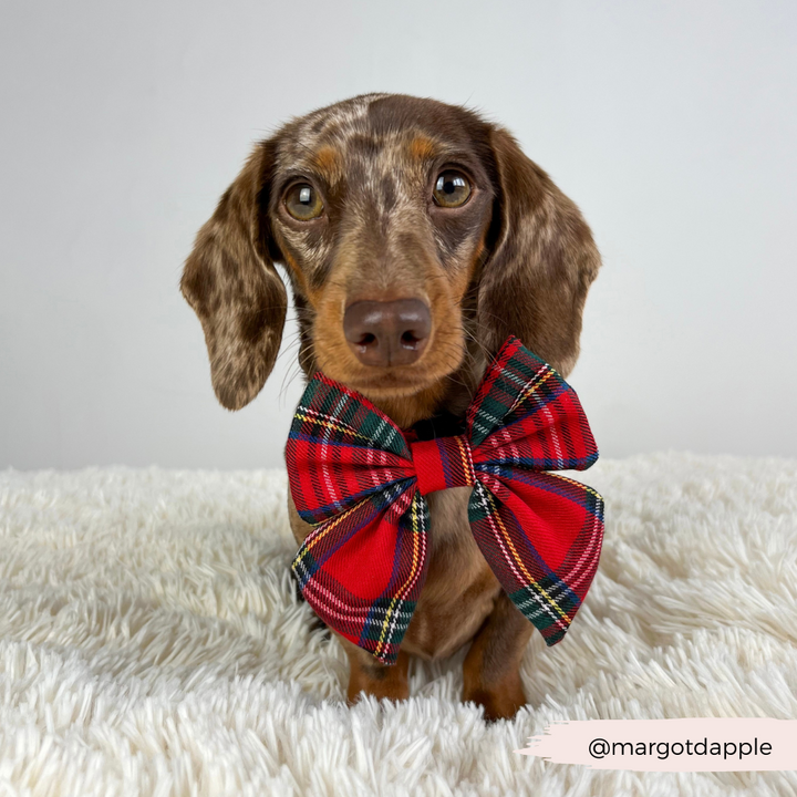 Tartan Sailor Bow Tie