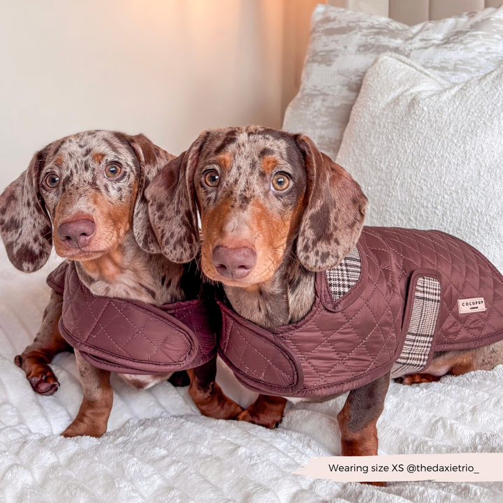 LUXE Quilted Dog Coat - Pup Plaid