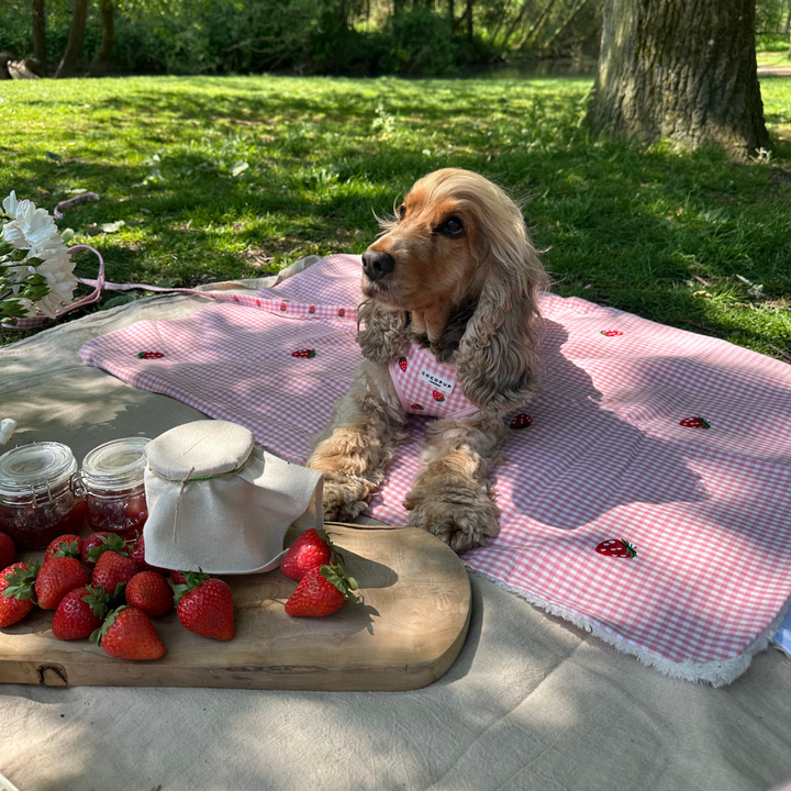 Travel Mat & Blanket Set - Strawberry Picnic Pup
