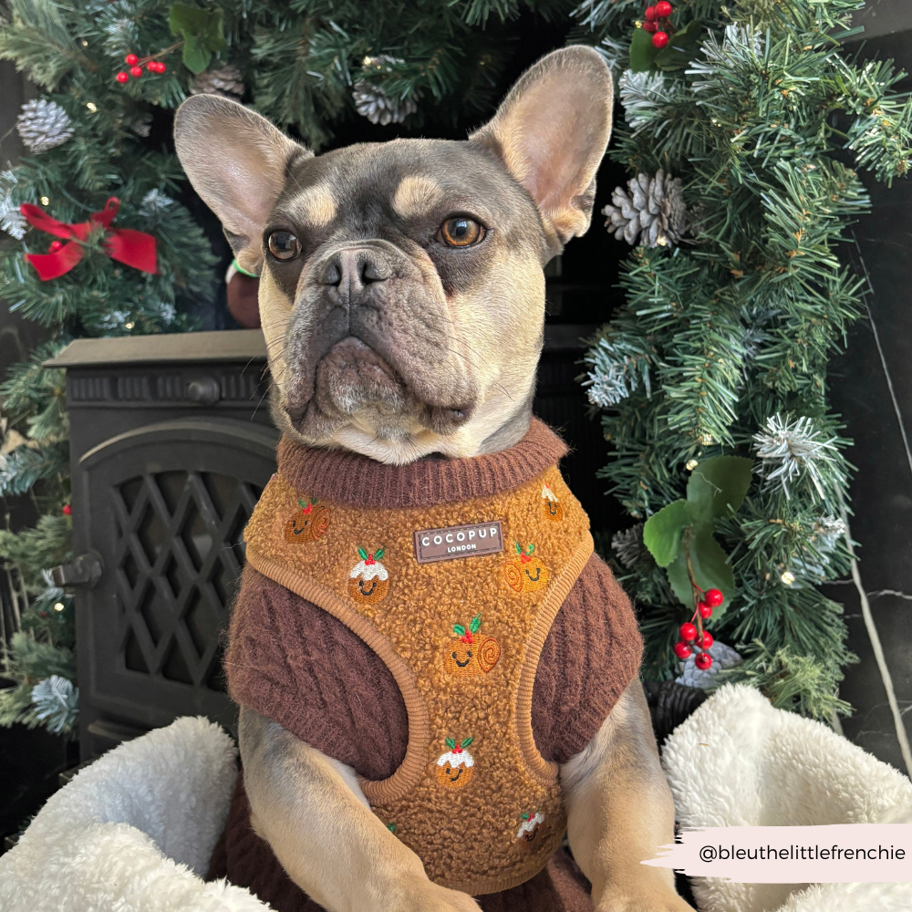 Festive Pudding Pup Adjustable Neck HARNESS