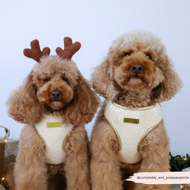 Limited Edition Sparkle Season Gold Adjustable Neck HARNESS