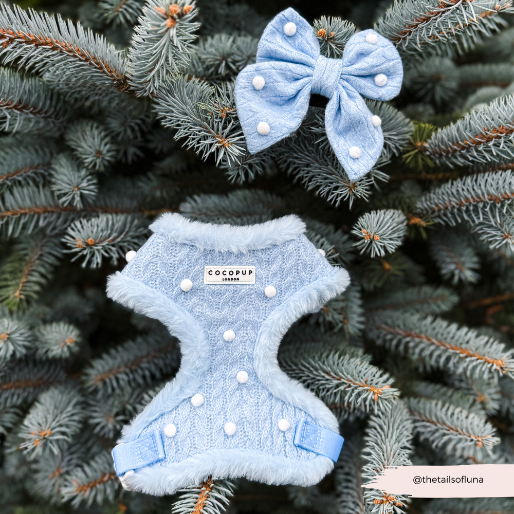 Snowpaws Adjustable Neck Harness, Lead & Collar Bundle