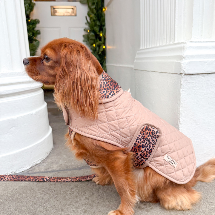 LUXE Quilted Dog Coat - Leopard Pup