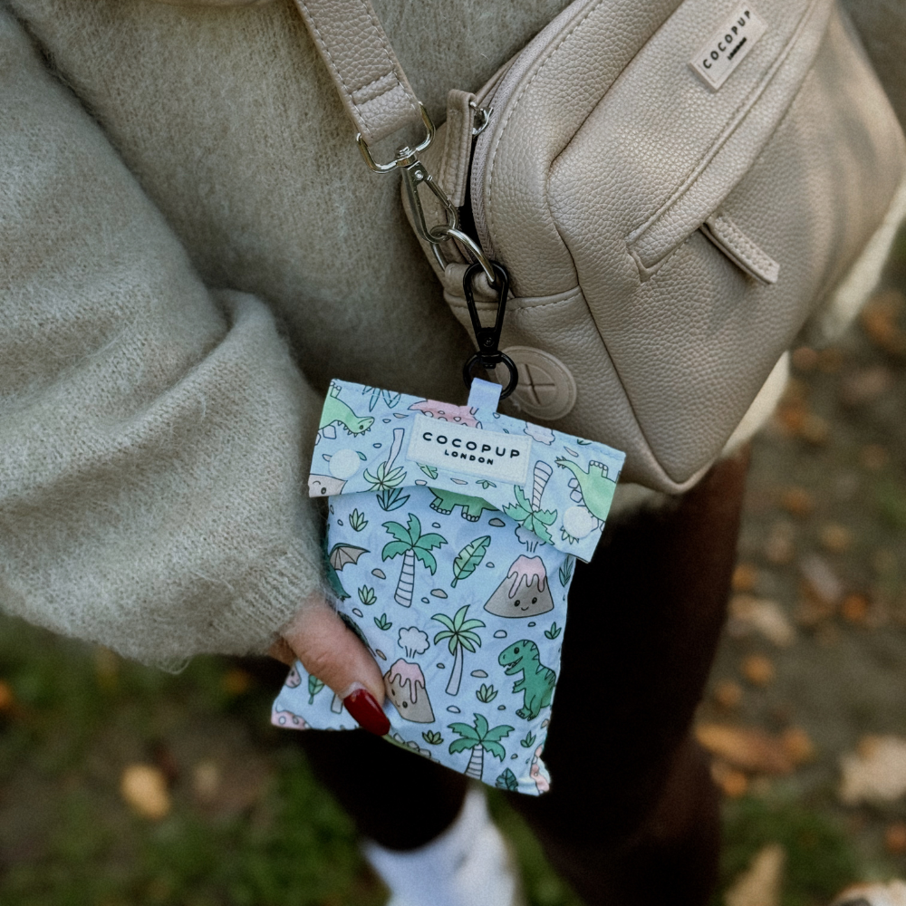 Dog Raincoat - Dinopaws