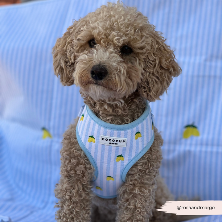 Travel Mat - Living La Vida Lemon