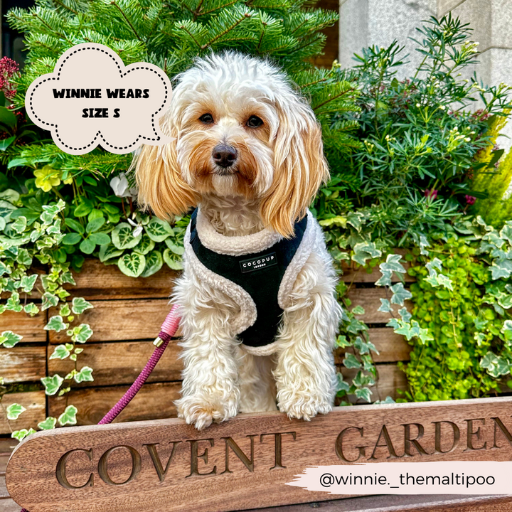 A fluffy white dog with curly fur, wearing a Cocopup London Black Aviator Adjustable Neck Harness, Lead & Collar Bundle, stands on a wooden sign that reads "COVENT GARDEN." The text bubble above reads "WINNIE WEARS SIZE S." Lush greenery and flowers surround the scene. An Instagram handle "@winnie_themaltipoo" is written on the sign.