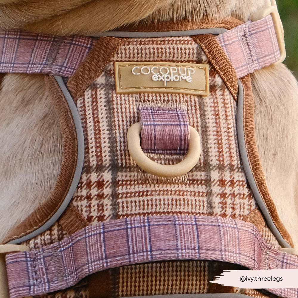 Explore Harness - Pup Plaid
