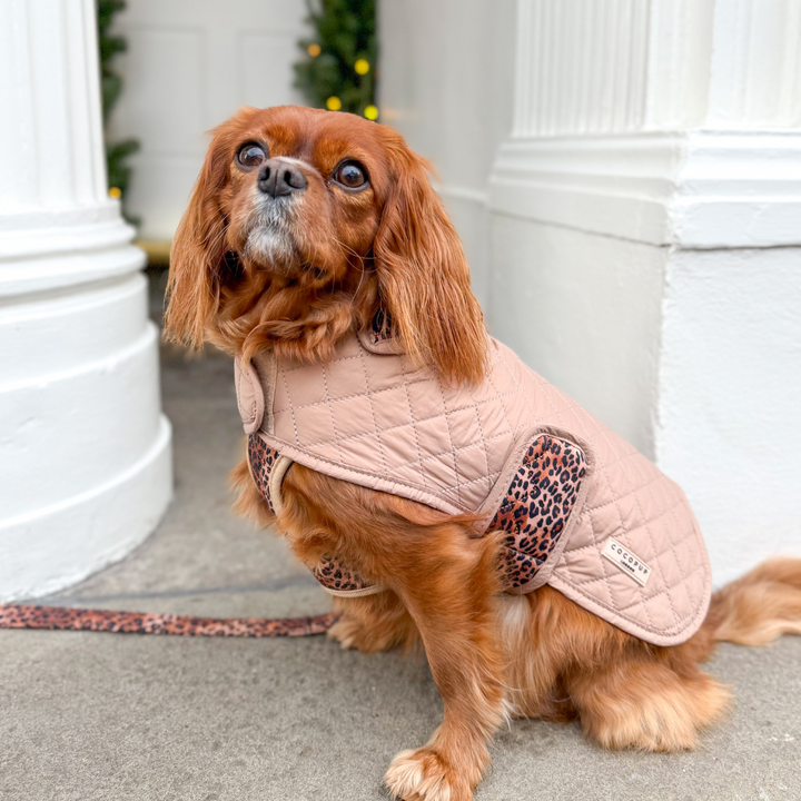 LUXE Quilted Dog Coat - Leopard Pup