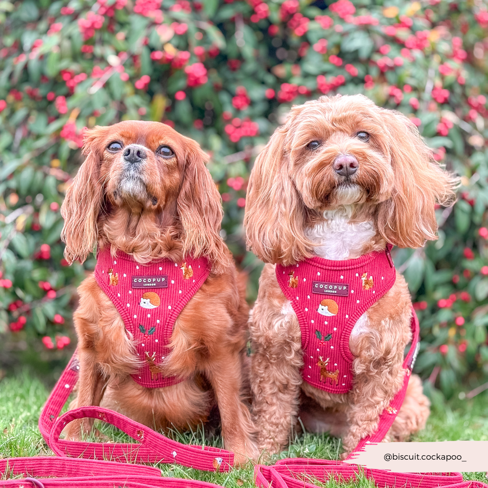 Holly Jolly Trails Adjustable Neck HARNESS