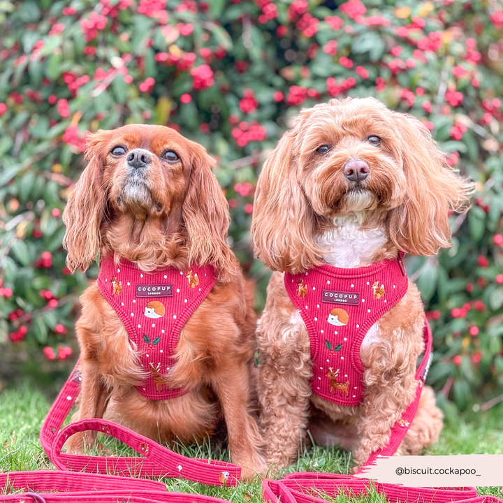 Holly Jolly Trails Adjustable Neck HARNESS