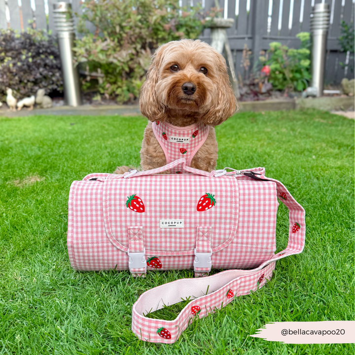 Travel Mat & Blanket Set - Strawberry Picnic Pup