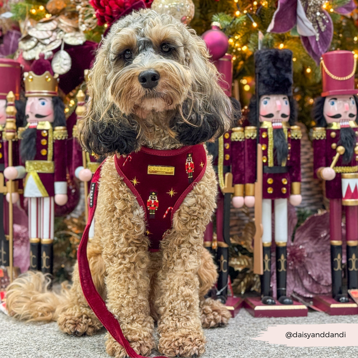 The Muttcracker Adjustable Neck HARNESS