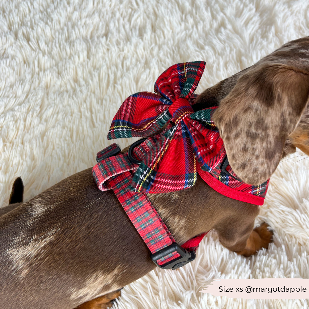 Tartan Adjustable Neck Harness, Lead & Collar Bundle