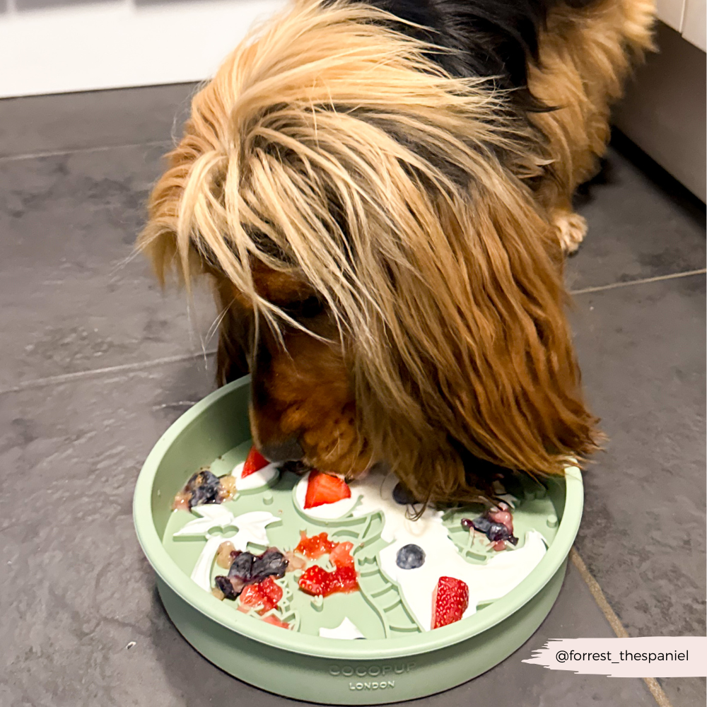 Silicone Slow Feed Dog Bowl - Dinopaws