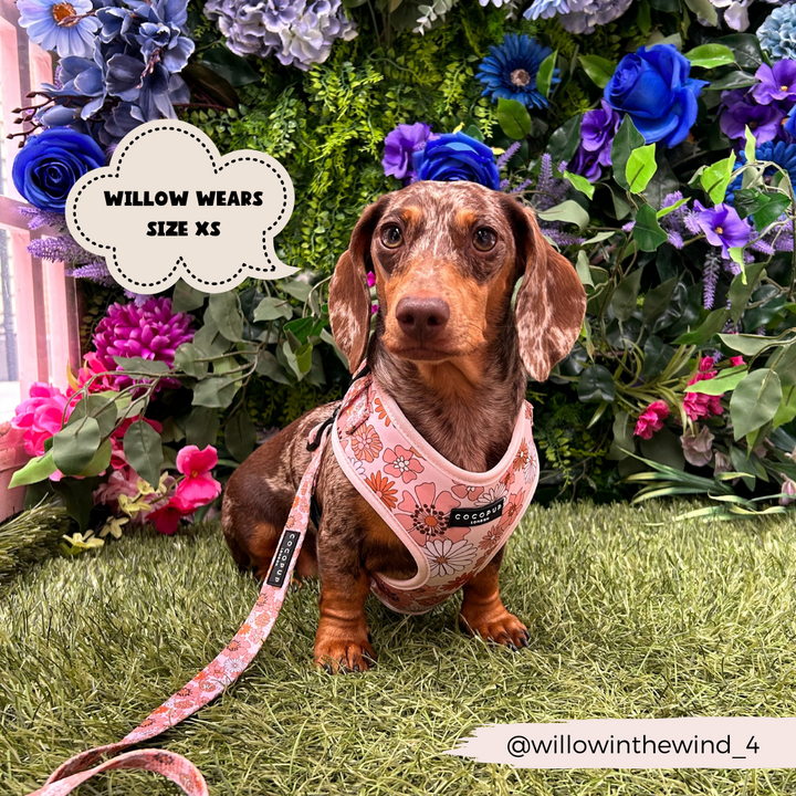 A dachshund named Willow sits on a patch of artificial grass surrounded by colorful flowers. Willow is rocking Cocopup London's 70s-inspired Groovy Florals Adjustable Neck Harness in size XS. A social media handle, @willowinthewind_4, is displayed at the bottom right corner.