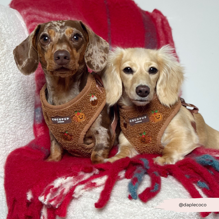 Festive Pudding Pup Adjustable Neck HARNESS
