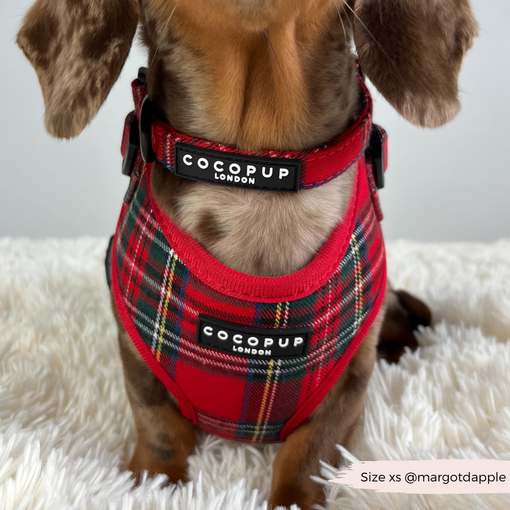 Tartan Adjustable Neck Harness