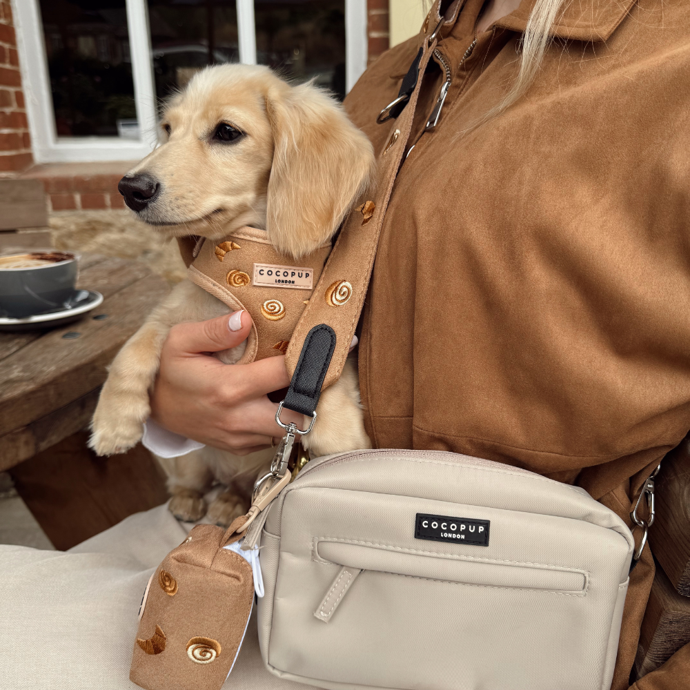 Dog Walking Caramel Latte Bag Bundle - Pawtisserie