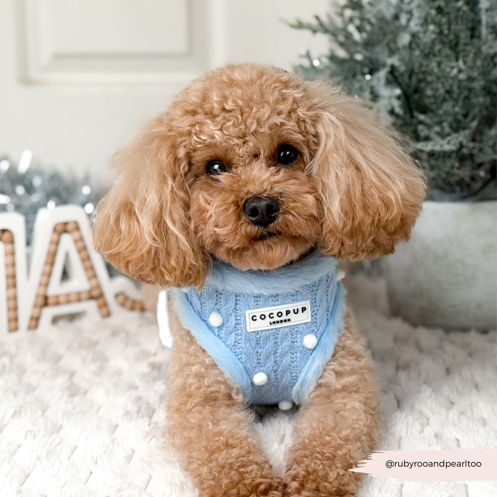 Snowpaws Adjustable Neck Harness, Lead & Collar Bundle