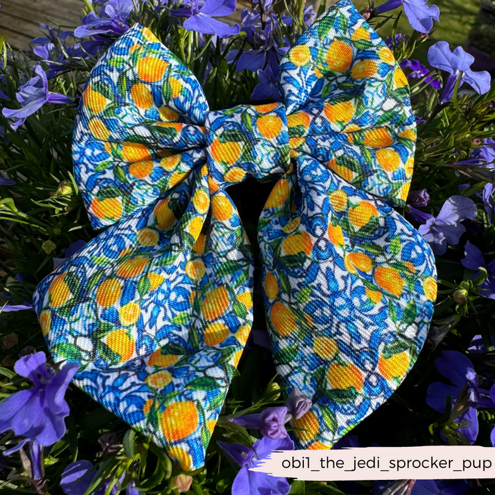 Amalfi Lemon Sailor Bow Tie