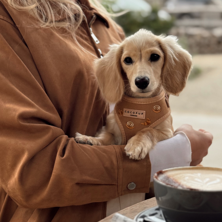 Pawtisserie Adjustable Neck HARNESS