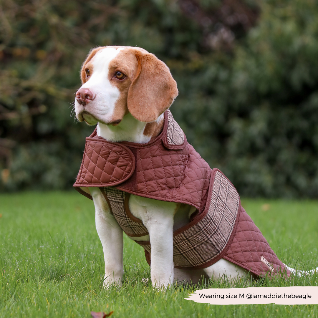 LUXE Quilted Dog Coat - Pup Plaid