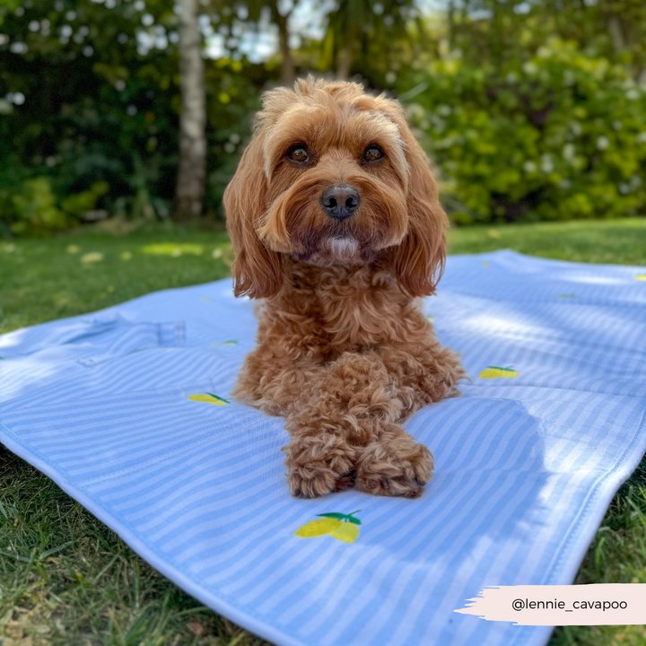 Travel Mat - Living La Vida Lemon
