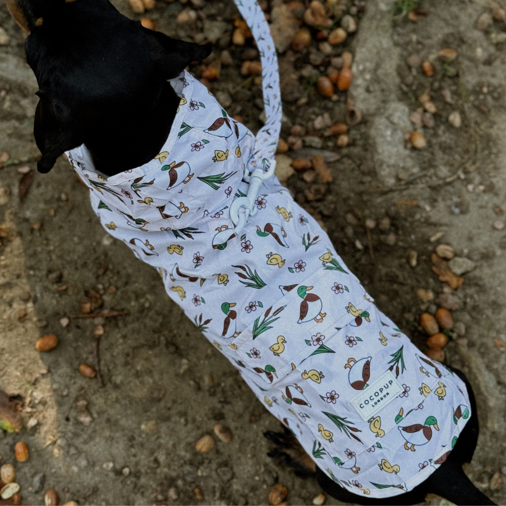 Dog Raincoat - Puddle Pup
