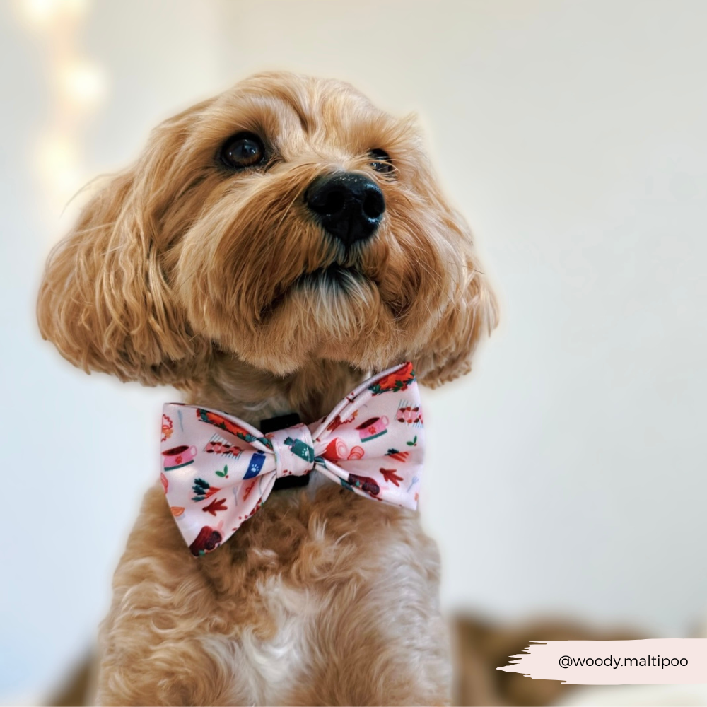 Cracking Christmas Dinner Bow Tie