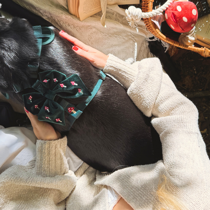 Toadstool Trails Sailor Bow Tie