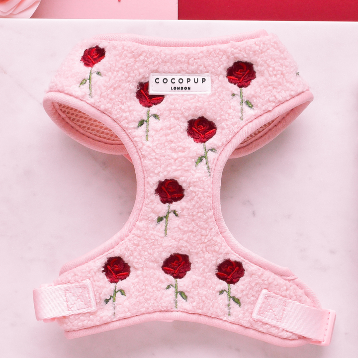 Embroidered Roses Teddy Adjustable Neck Harness, Lead & Collar Bundle