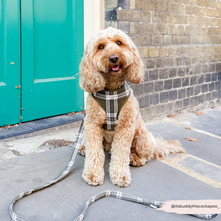 Olive Check Adjustable Neck HARNESS