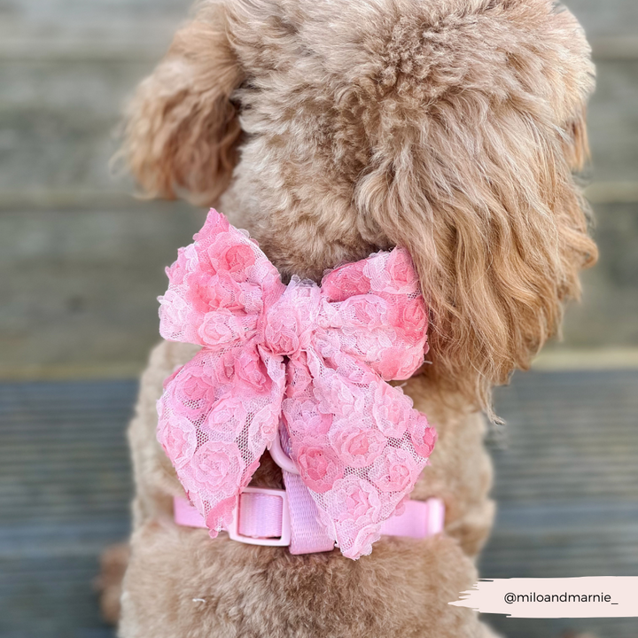 Peony Pup Sailor Bow Tie